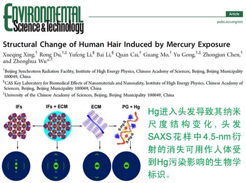 北京同步辐射装置小角X射线散射技术研究汞污染取得新进展